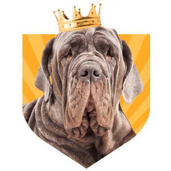 puppy bet loyaliteitsprogramma