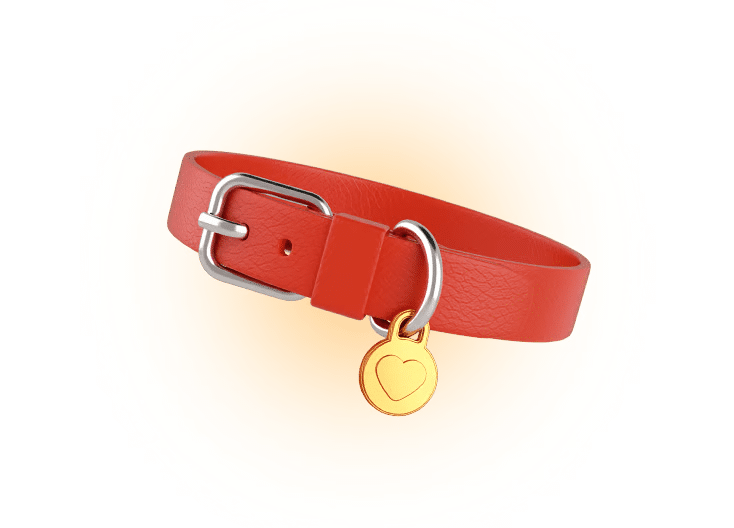 puppy bet halsbandje